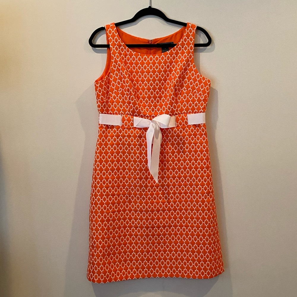 Professional Work Dress Bundle